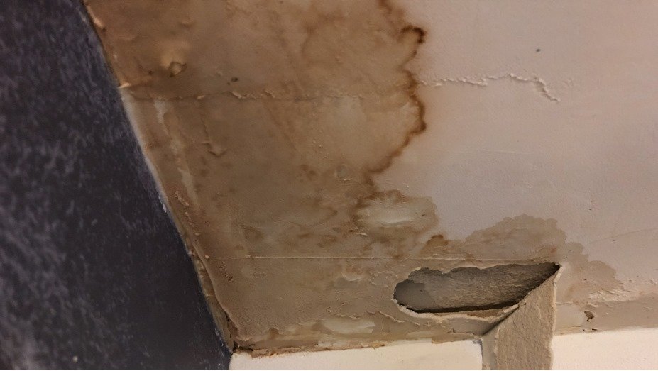 Prevent Roof Damage: How to Fix Roof Leak & Avoid Costly Repairs 1