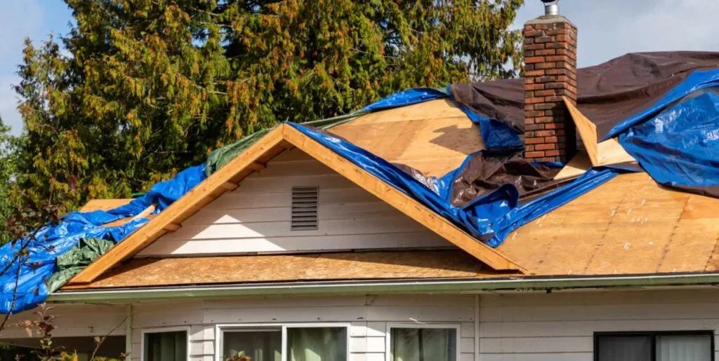 after storm damage 3