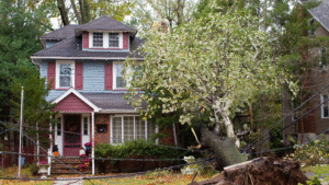 LEARNING HUB 8 Storm Damage Restoration Gonzales