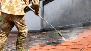 LEARNING HUB 6 Roof Washing Livingston