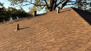 tree damage prevention Louisiana roofs