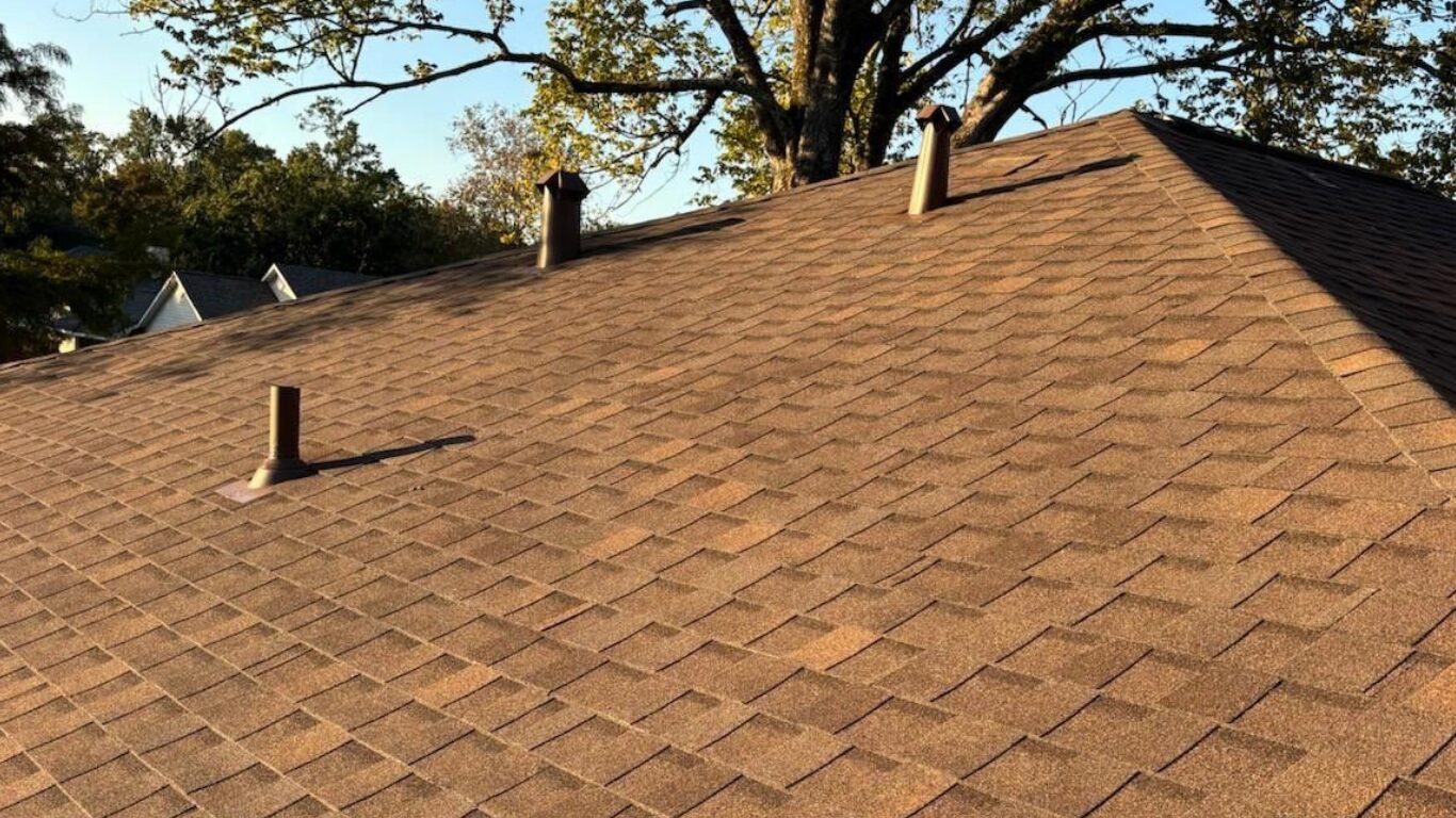 Tree Damage Prevention: Protecting Your Roof from Falling Limbs 1 tree damage prevention Louisiana roofs
